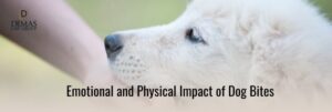 Emotional and Physical Impact of Dog Bites 